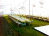 Reception venue in Sedgefield